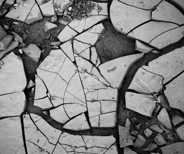 Auto Insurance In Ontario: A Broken System.